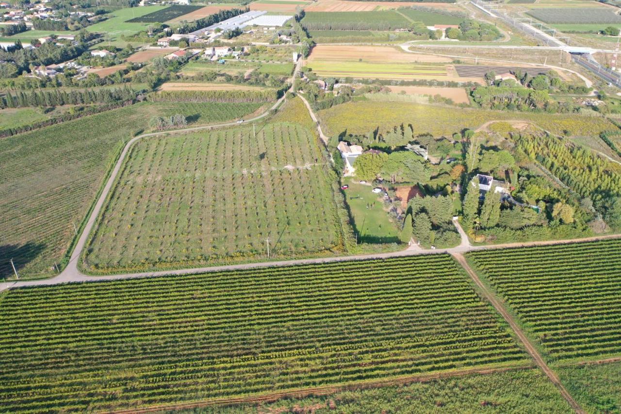 Domaine De La Trinite Montpellier - Aeroport - Plages - Arena - Zenith Saint-Aunes Εξωτερικό φωτογραφία