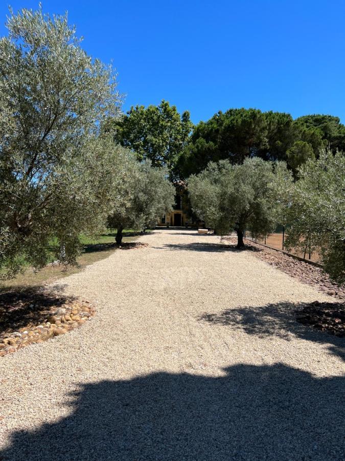 Domaine De La Trinite Montpellier - Aeroport - Plages - Arena - Zenith Saint-Aunes Εξωτερικό φωτογραφία